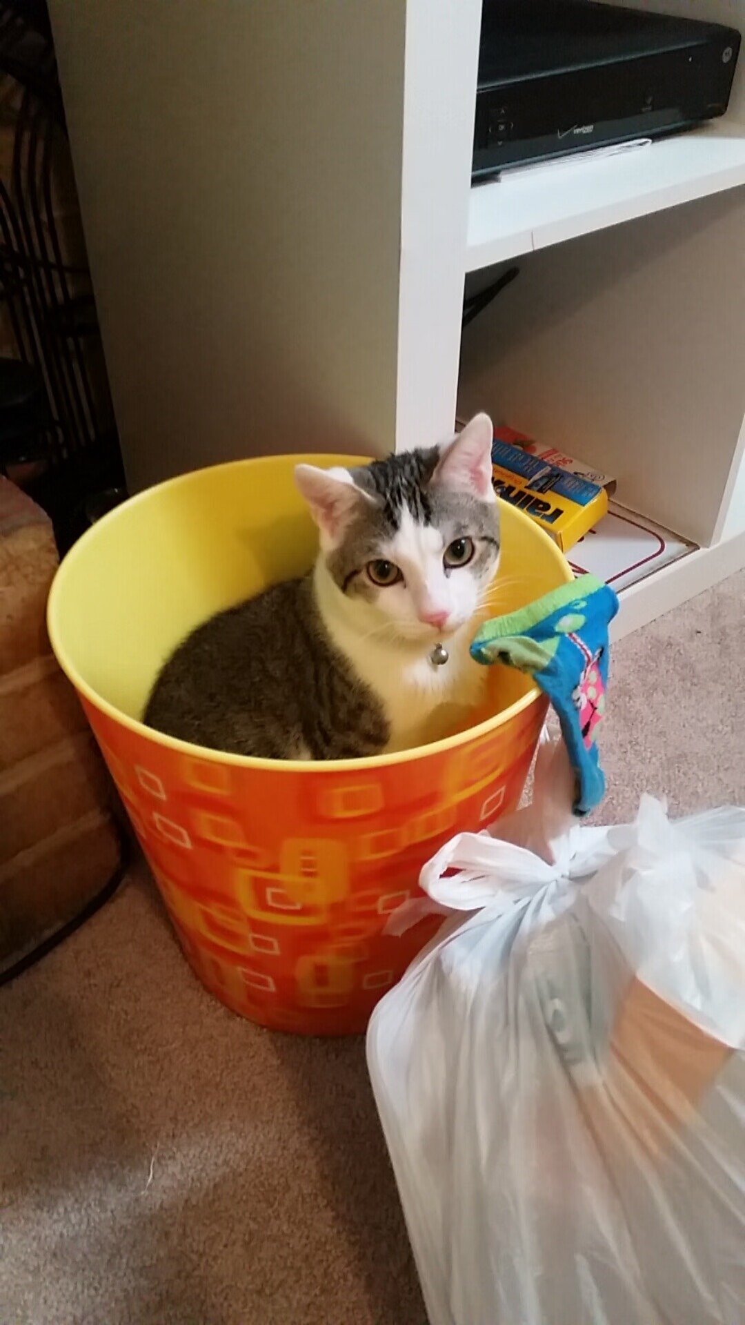 欧洲杯惊天逆转:变局引爆现场热情!,70秒还原欧洲杯惊魂瞬间