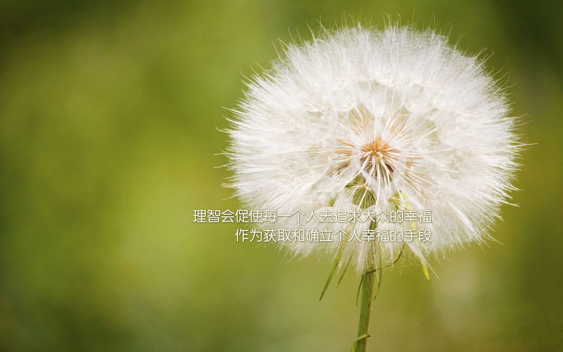 谷爱凌学习成绩优异成榜样代表,谷爱凌家庭情况